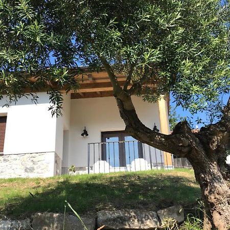 La Casina Del Olivo Villa Ribadesella Luaran gambar