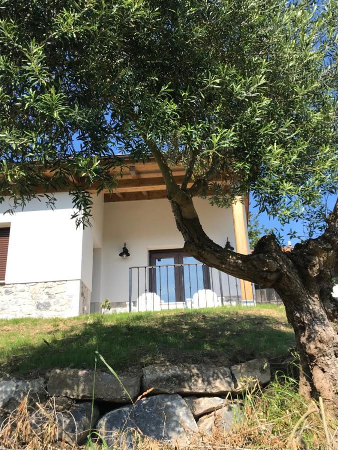 La Casina Del Olivo Villa Ribadesella Luaran gambar