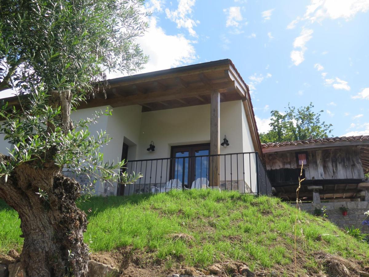 La Casina Del Olivo Villa Ribadesella Luaran gambar