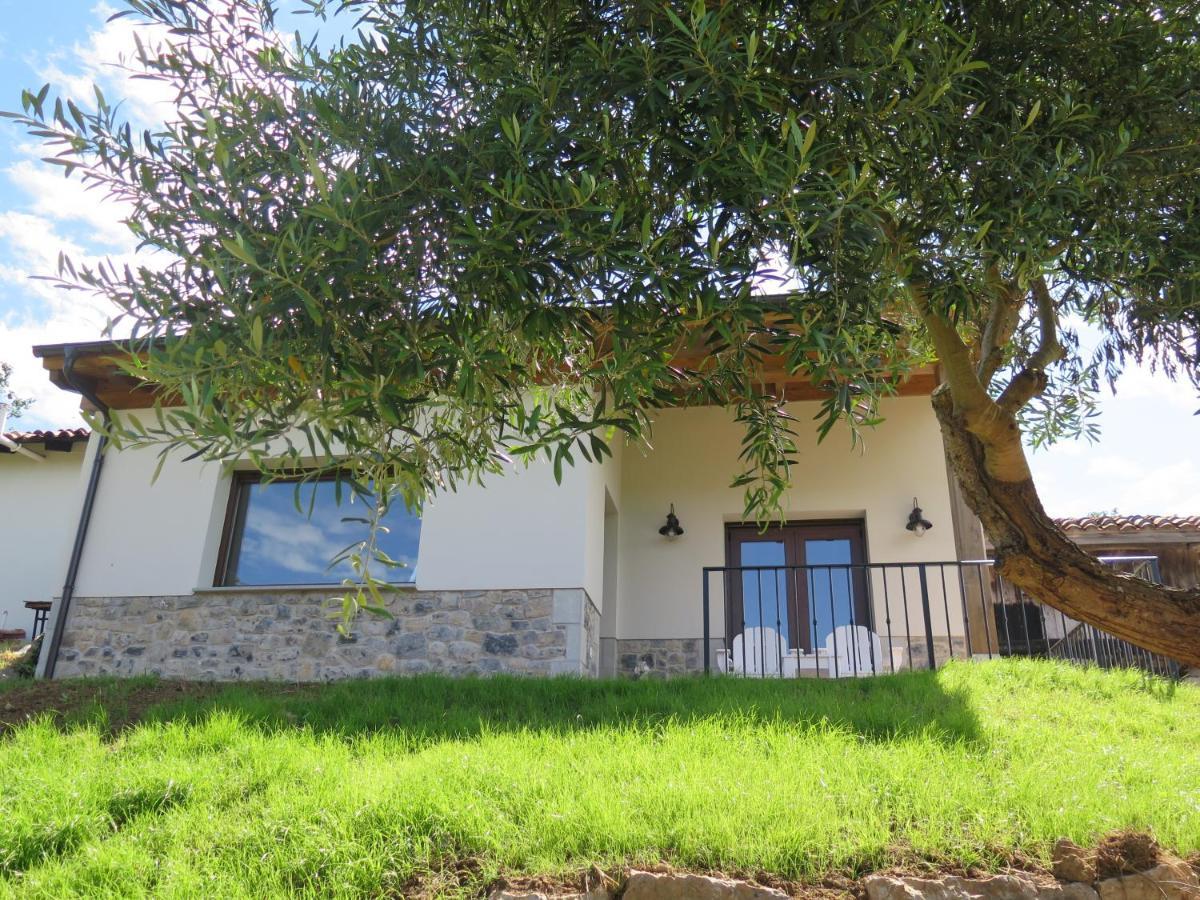 La Casina Del Olivo Villa Ribadesella Luaran gambar